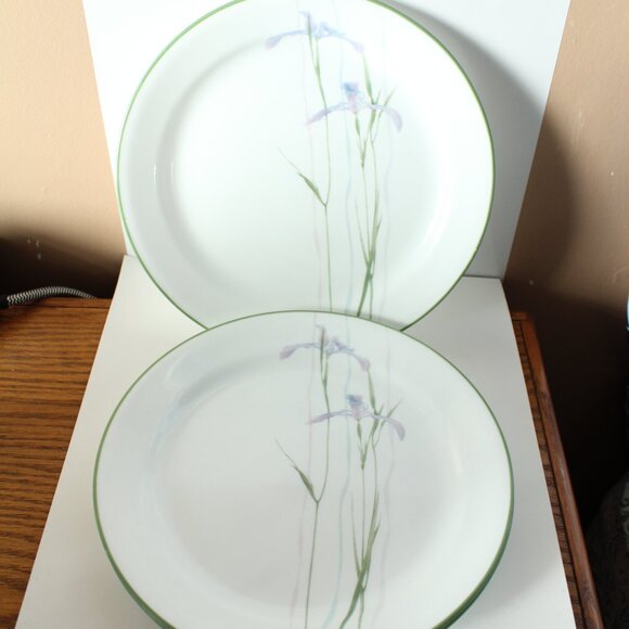 Corelle Shadow Iris Pattern Lot of 10 Pieces - Picture 2 of 9